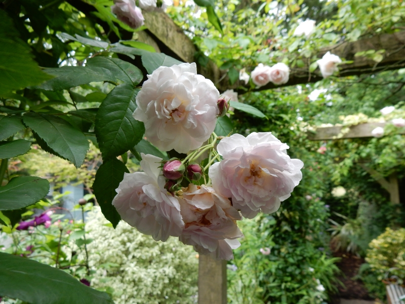 Didsbury Village Gardens